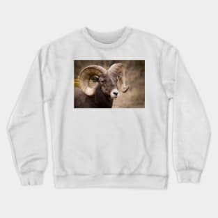 Bighorn Sheep Crewneck Sweatshirt